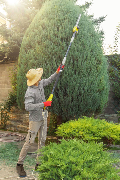 Lawn Pest Prevention in Farmersville, CA